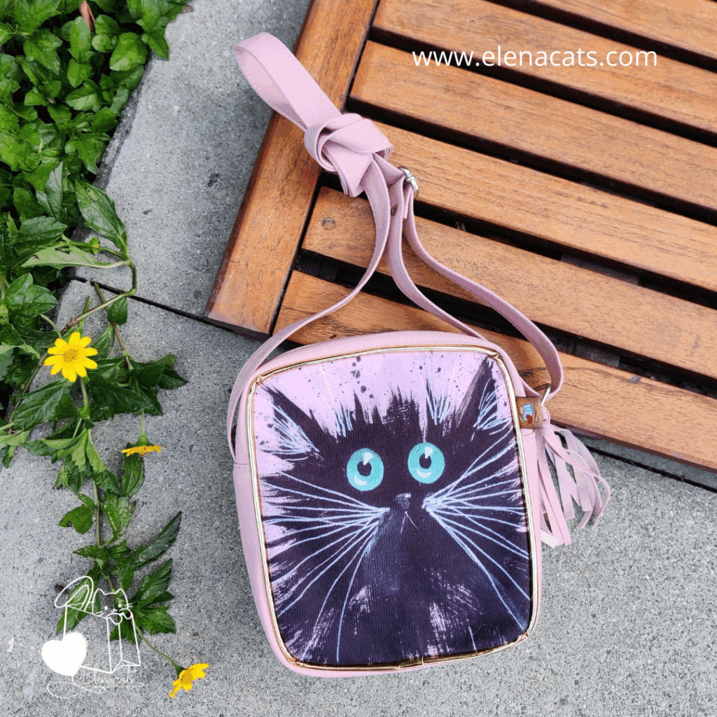 Bolso De Mano Gato Erizado Ojos Azules