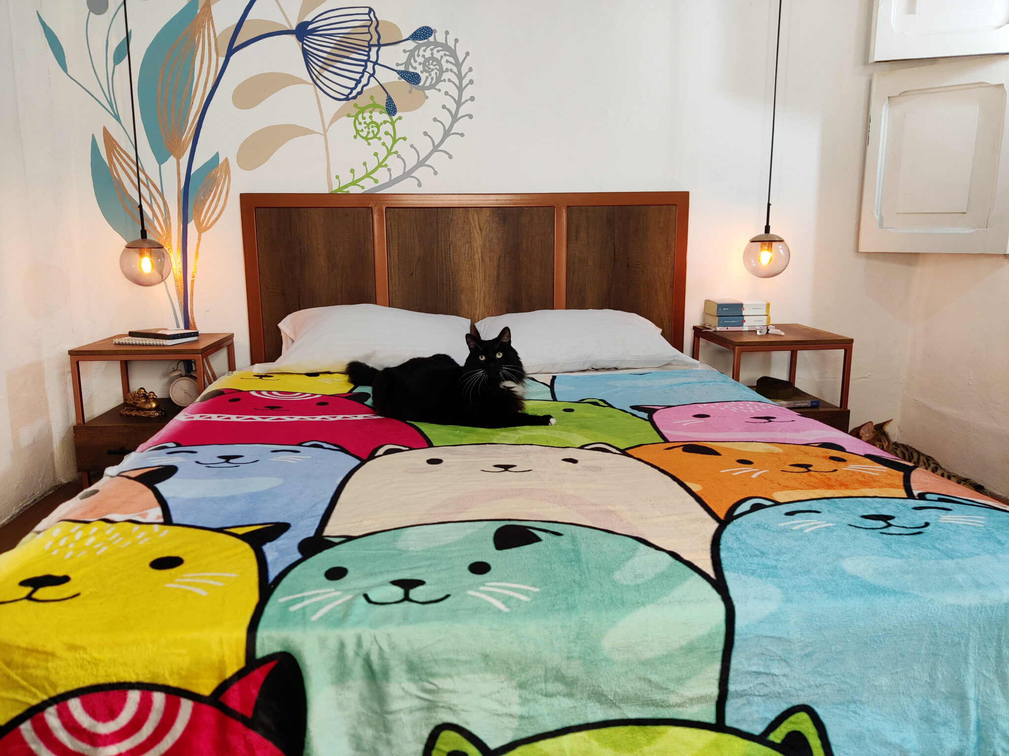 Cobija Gatos De Colores - Imagen 2