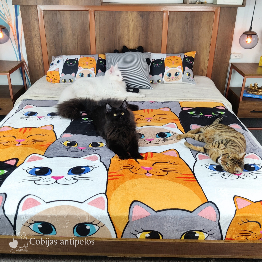 Cobija Gatos Naranja