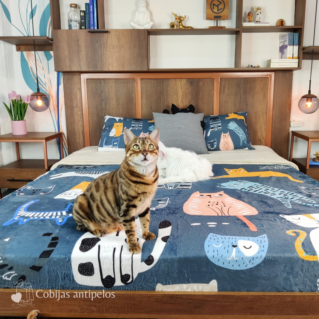 COBIJAS DE GATO