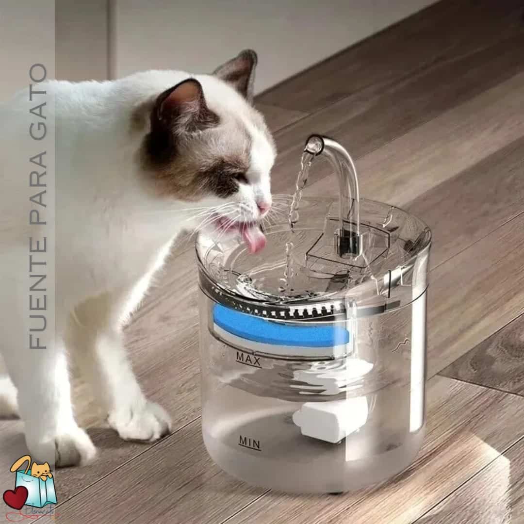 Fuente Transparente Para Gatos