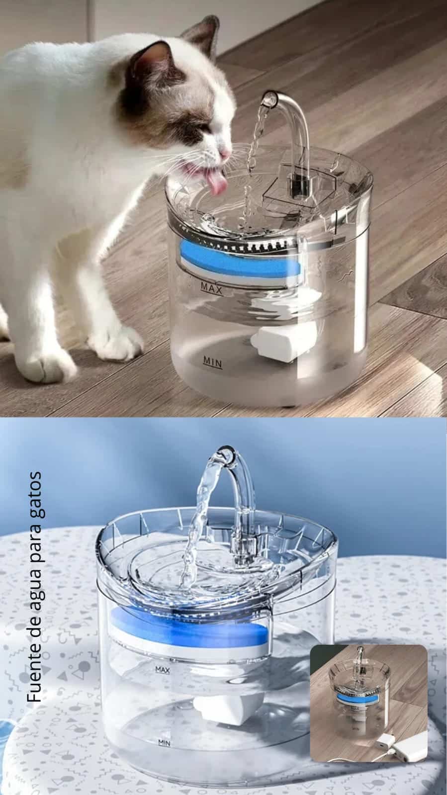 Fuente Transparente Para Gatos - Imagen 4