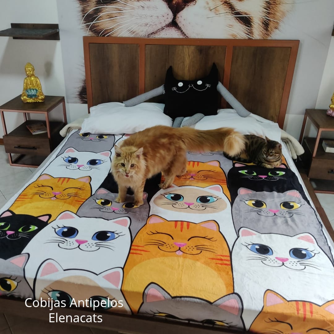 Cobija Gatos Naranja