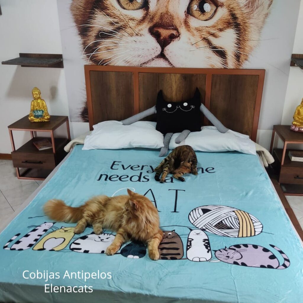 Cobija Con Diseño De Gatos Sofìa