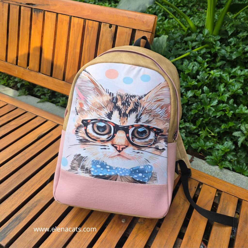 Morral Gato Intelectual