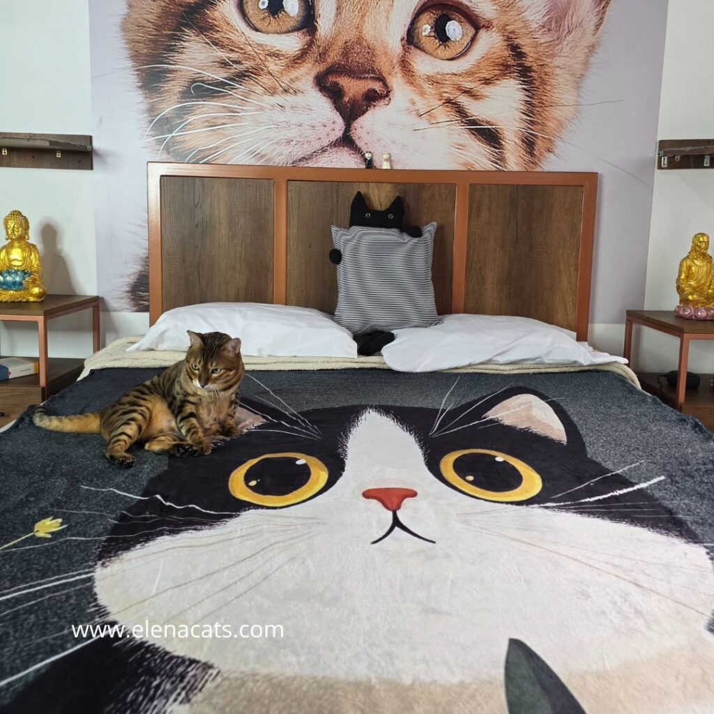 Cobija Diseño Gato Feliz