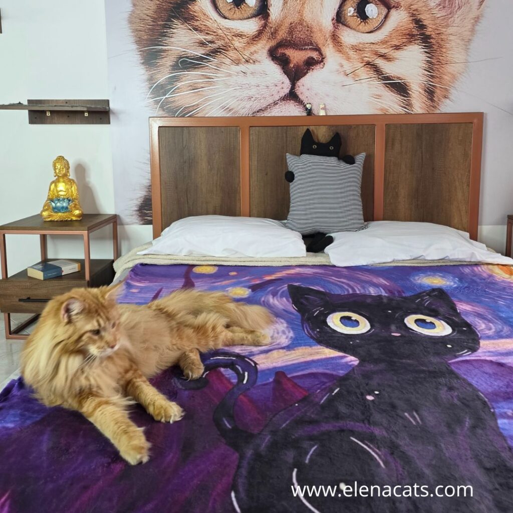 Cobija Con Diseño Gato Van Gogh Morada