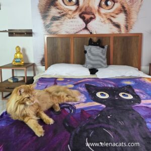 Cobija Con Diseño Gato Van Gogh 2
