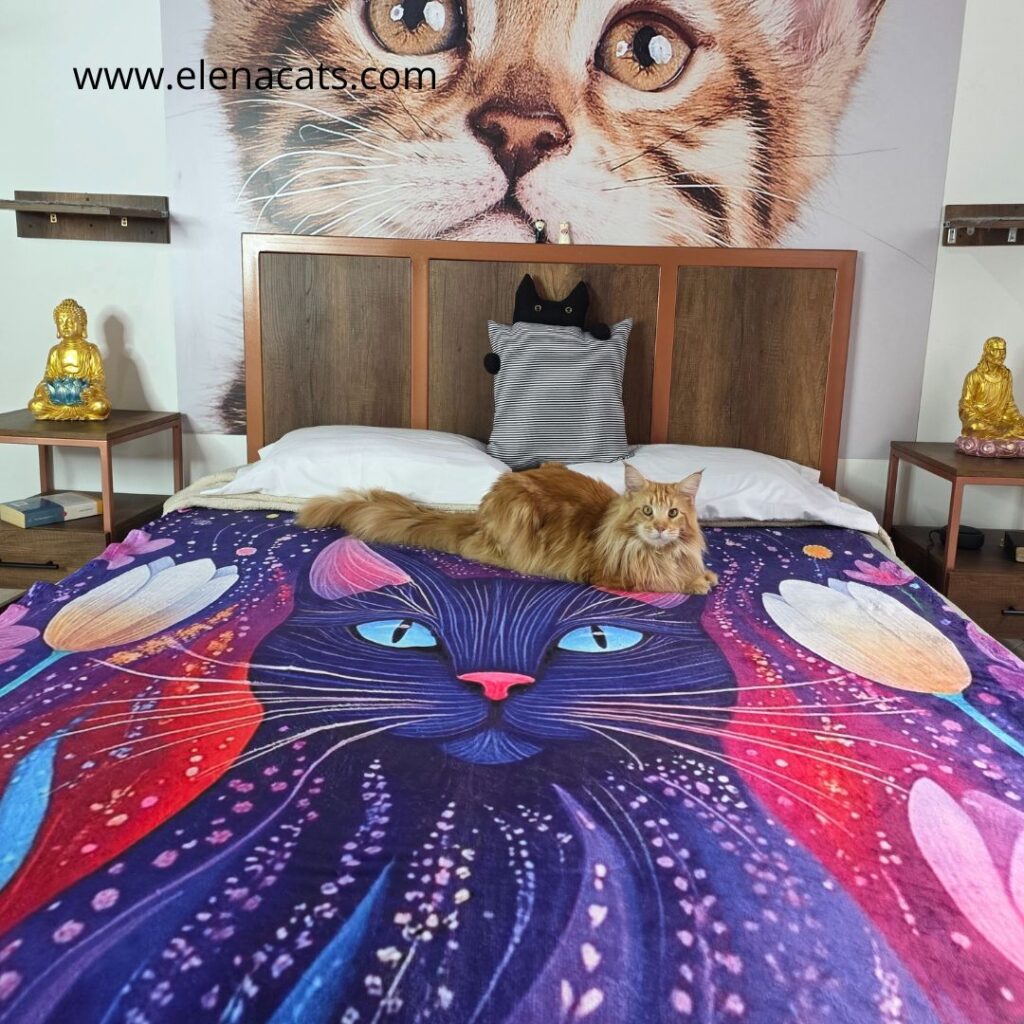 Cobija Diseño Gato Mandala