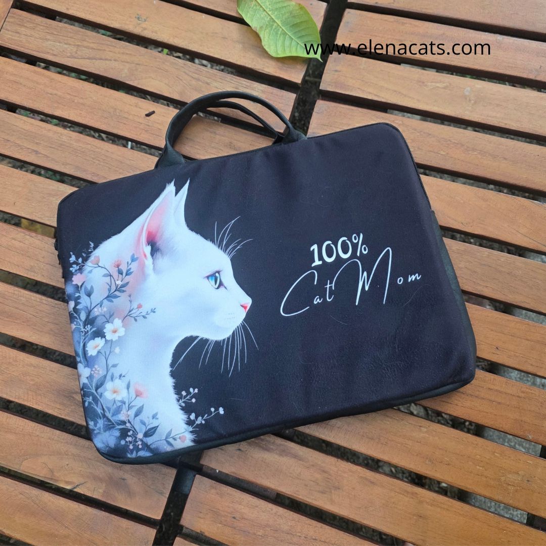 BOLSO PARA PORTATIL