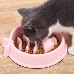 Comedero para Gatos