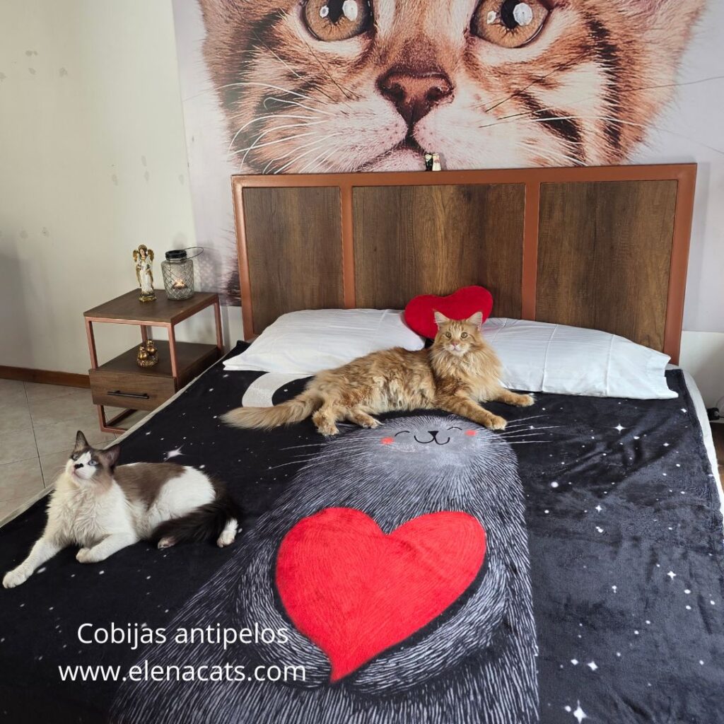 Cobija Con Diseño Gato Corazon Luna