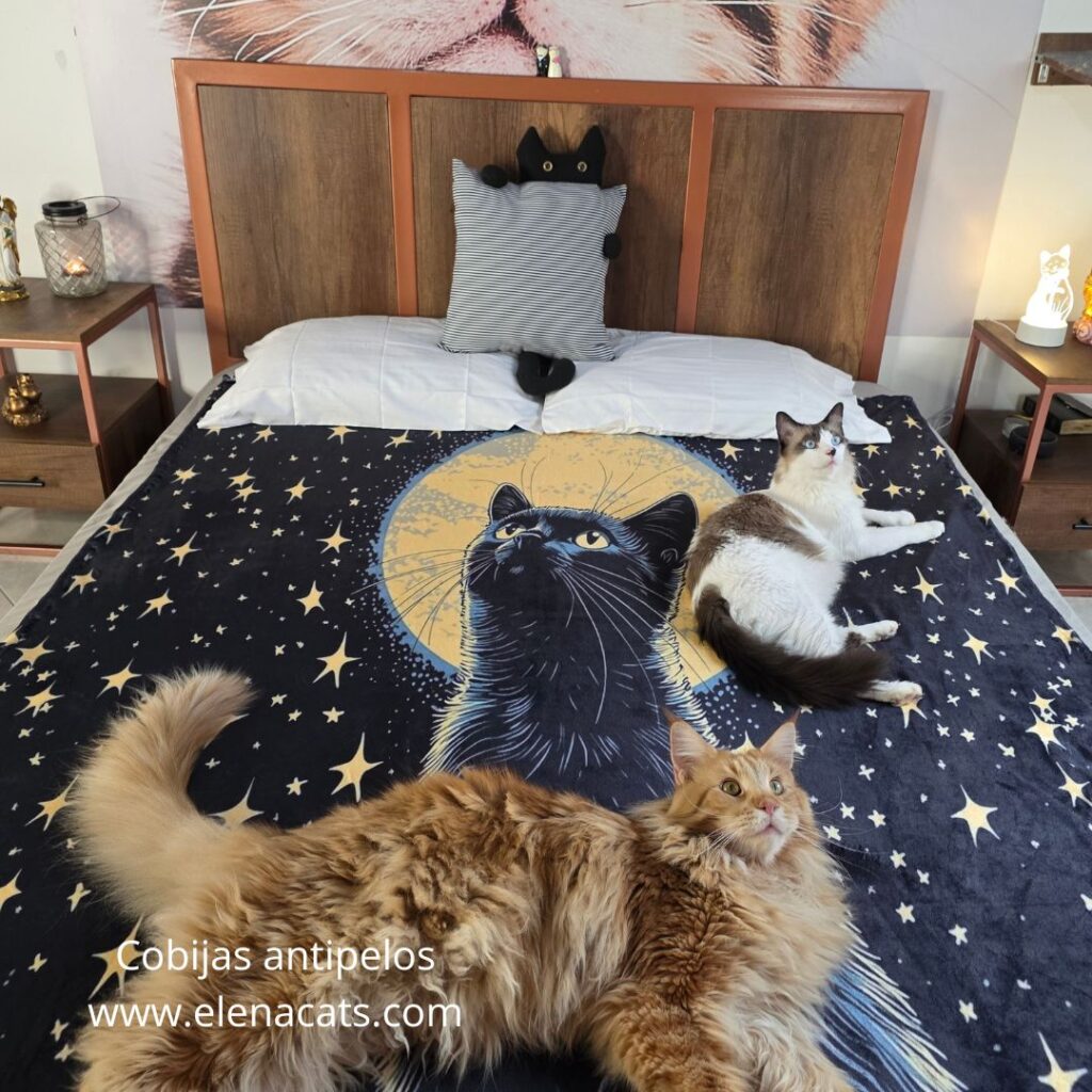Cobija Con Diseño Gato Negro y Estrellas